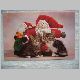 Weihnachtskarte mit Katzen