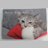 Weihnachtskarte Merry Miez-Mas
