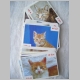 Spielkarten mit Fotos von Katzen