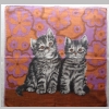 Taschentuch mit 2 Katzen